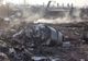 Avion prăbușit în Iran. Ce s-ar fi petrecut la bordul Boeing-ului 737 imediat după decolare