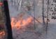 Dezastru în Australia. Cum se formează “furtunile de foc” care înghit totul în cale