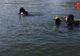 Alertă pe Dunăre. Un marinar a căzut peste bord