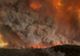 La cât se ridică pierderile cauzate de incendiile din Australia