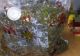 Colet din Spania, cu 3 kilograme de cannabis