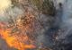 VIDEO Pădure în flăcări la Buciumeni, jud. Dâmbovița