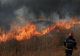 Incendiu puternic de vegetație în Vaslui. Au ars șase hectare 