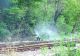  Incendiu pe calea ferată în Brezoi, Vâlcea