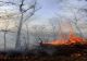  Incendiu de proporții într-o pădure apropierea localității Răstolț, jud. Sălaj
