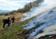 Intervenție DIFICILĂ a pompierilor din Alba pentru stingerea unor incendii de pădure în Munții Apuseni