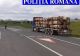 Mai multe transporturi ilegale de lemn depistate de polițiștii deveni în urma unor filtre rutiere și verificării unor firme
