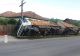 Video / Un camion plin cu păsări s-a răsturnat la Poienarii de Argeș