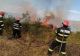 FOTO Incendiu puternic de vegetație, în Tulcea.150 de hectare de vegetație uscată și viță-de-vie, distruse