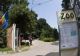 Toți cangurii de la Zoo Timișoara, uciși de o haită de câini