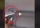 VIDEO - Funcția secretă a parasolarului din mașină - Puțină lume știe că poate fi folosit așa
