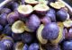 Uimitoare dietă cu prune. Slăbești 7 kilograme în doar o săptămână