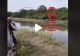 VIDEO – A scos un peste uriaș din apă însă ceva a ieșit din lac și i l-a mâncat pe loc