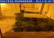 Cultură de cannabis în borcane, descoperită într-o locuinţă din Craiova. Un tânăr a fost arestat preventiv