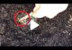 VIDEO – A observat că ceva se mișcă, așa că a dat pământul la o parte cu un bat. Ce a putut să descopere