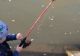 VIDEO fabulos: Un puști de 5 ani a pescuit un șalău de 10 kg, în Bega