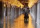 Inundațiile fac ravagii în Italia: Veneția, sub ape