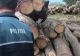  Material lemnos de peste 200.000 de lei, descoperit fără acte la o firmă din Neamț