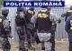 Percheziții de amploare împotriva MAFIEI LEMNULUI. Mascații au descins în cinci județe și în Capitală