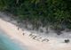 VIDEO | Robinson Crusoe moderni. Au supraviețuit 33 de zile doar cu nuci de cocos, pe o insulă pustie din Bahamas