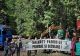 VIDEO Protest al activiștilor de mediu împotriva tăierilor de arbori din zona Valea Cerbului, Bușteni