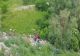 VIDEO Bătrân găsit în zona unei mlaştini din Slatina. Era dispărut de trei zile