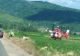 Parapantist rănit după ce s-a prăbușit pe un câmp din județul Arad. A fost solicitat un elicopter SMURD