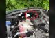 VIDEO – Surpriză mare sub capota mașinii – Motivul pentru care nu mai mergea motorul