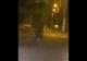 VIDEO Un urs aleargă pe străzile din Panciu, județul Vrancea