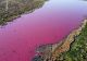 PANICĂ în rândul populației după ce un lac din Patagonia a devenit ROZ peste noapte. Explicația pentru STRANIUL incident