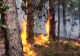 VIDEO Incendiu devastator în Parcul Naţional Porţile de Fier - Ard mai multe hectare de pădure. A fost solicitat elicopterul M.A.I. 