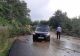  Trafic blocat în Moieciu de Sus din cauza vremii nefavorabile - Copaci căzuți pe partea carosabilă