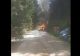 Incendiu MAJOR la Raliul Sibiului: O mașină cu doi tineri, în FLĂCĂRI, în timpul cursei - Imagini terifiante