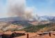 Stare de URGENȚĂ în Sicilia - Incediile de vegetație fac ravagii pe insulă. Imaginile dezastrului VIDEO