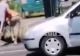 Bătaie cu bâta la semafor după o şicanare în trafic: Martorii au filmat întreaga scenă - VIDEO