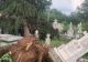 Monumente funerare DOBORÂTE de vântul puternic, în Gorj - fenomene meteo extreme joi seară