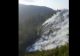 VIDEO | Incendiu devastator într-o pădure din Vâlcea. Au ars 4 hectare cu puieți de brad și copaci tineri 