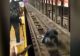 Momentul în care un bărbat căzut pe şinele de la metrou este salvat de un poliţist din Statele Unite | VIDEO - Imagini cu un puternic impact emoțional