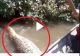 VIDEO – Mergeau cu barca pe râu când a apărut un monstru uriaș – Puțin a lipsit până la o tragedie
