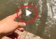 VIDEO – A observat un pește pe fundul apei și a vrut să le arate și prietenilor. Ce a urmat întrece orice imaginație