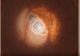 Descoperire surprinzătoare în astronomie! A fost găsită prima planetă care orbitează trei stele simultan VIDEO