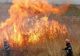 Incendiu VIOLENT la Poligonul Capu Midia, Constanța. Vegetaţie uscată MISTUITĂ de flăcări, în urma tragerilor antiaeriene