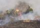 Amendă uriașă pentru un bărbat care a incendiat o zonă protejată, în Arad