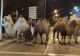 FOTO | Cămile în libertate pe străzile din Madrid, după ce au EVADAT de la un circ 