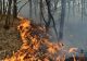 Incendiul de la Oituz, stins după 10 zile de intervenţii continue. 35 hectare afectate