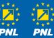 PNL a obținut mai mulți prefecți la negocierile cu PSD - Ce strategie au folosit liberalii