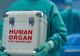 Prelevare de organe la Spitalul Clinic Judeţean de Urgenţă Târgu Mureş: Câte vieți au fost salvate