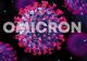 PERICOLUL Omicron impune schimbarea campaniei de vaccinare COVID-19 din România - Anunțul lui Valeriu Gheorghiță