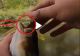 VIDEO – Din gura peștelui a început să iasă ceva ciudat – Când și-a dat seama, pescarul a început să țipe de frică