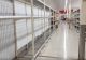 FOTO Lanțurile de aprovizionare din Australia, afectate de varianta Omicron: Rafturi GOALE în supermarketuri. Oamenii sunt DISPERAȚI
